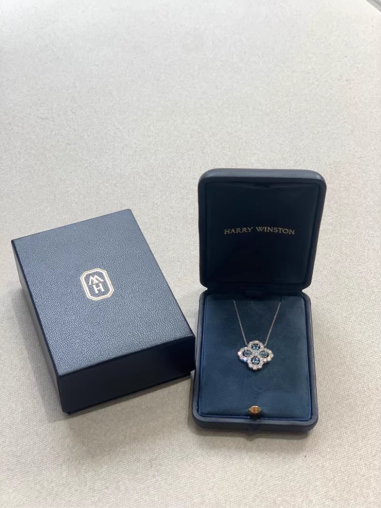 Harry Winston Silver Necklace 437$